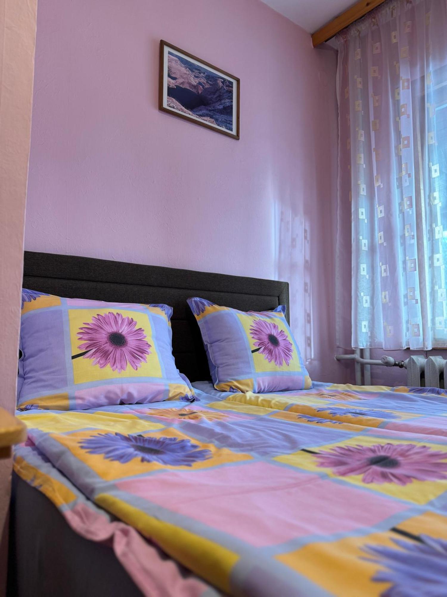 Mama Emiliya Guest House Beli Iskar Exteriér fotografie